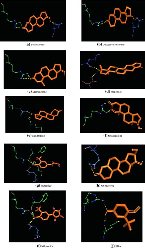 Docking Patterns Of Different Target Molecules Against Androgen