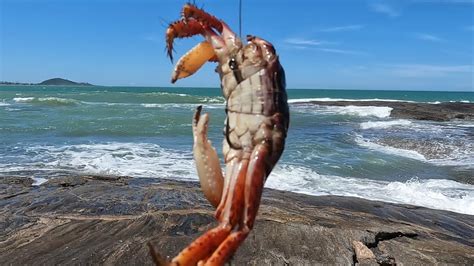 ARATU ESSA ISCA É INFALÍVEL NA PESCARIA DE COSTEIRA OU COSTÃO GUARAPARI