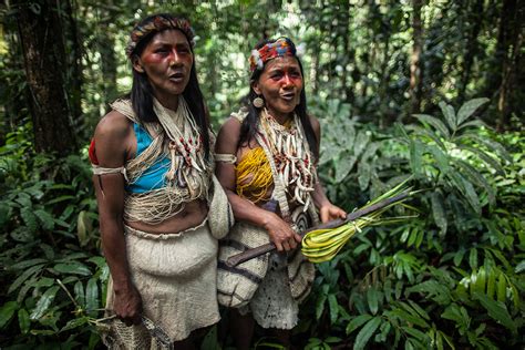 Ocho Razones Por Las Cuales La Decisi N Hist Rica En Ecuador Proyecta