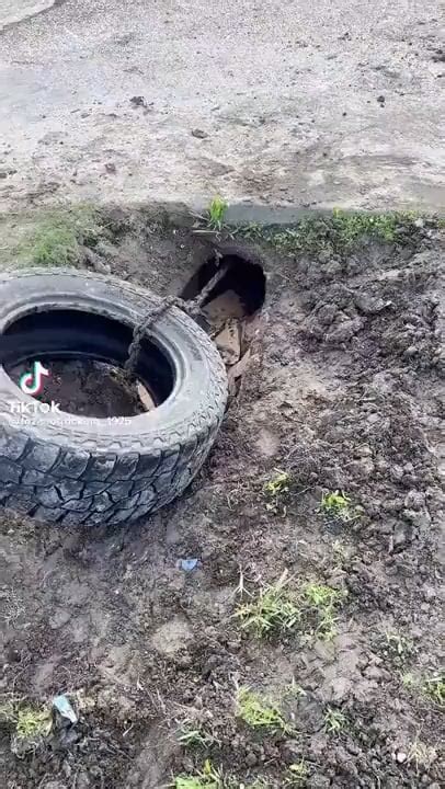 Cleaning the drain after a floodcv : r/oddlysatisfying