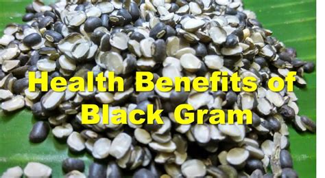 Health Benefits Of Black Gram Know Various Medicinal Uses