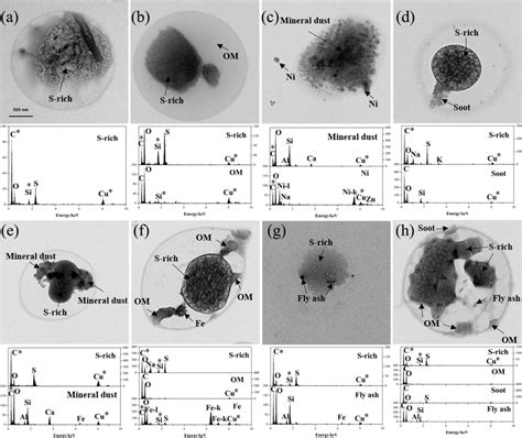 Tem Images And Eds Spectra Of Individual Res And Int Particles With Download Scientific Diagram