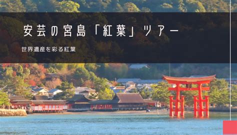 安芸の宮島紅葉おすすめツアー特集 2025年宿泊日帰りバスツアー