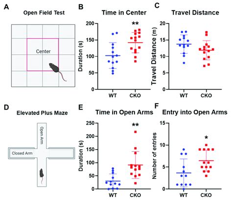 CKO Mice Exhibit Reduced Anxiety Like Behaviors A C Open Field Test