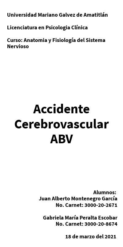 Infografía de Anatomía Accidente Cerebrovascular