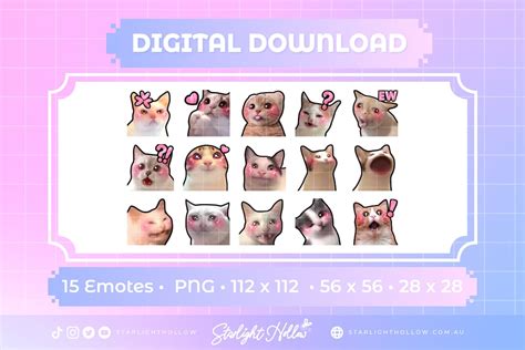 Cute Cat Memes Pre-made Emote Instant Digital Download for Discord ...