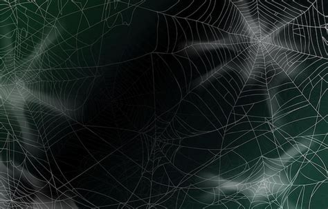 Premium Vector | Spider Web Background