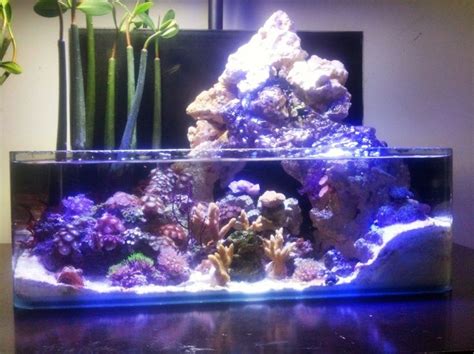 Nano Reef Tank Aquascape - Aquascape Ideas