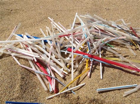 Plastic Straws Near Me At Lucia Monk Blog