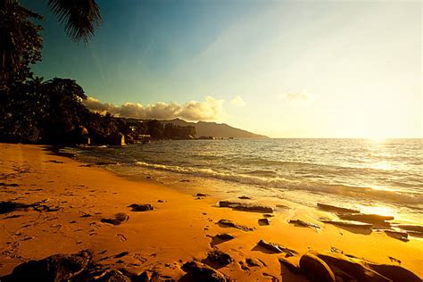 Free sunset beach Images, Pictures, and Royalty-Free Stock Photos ...