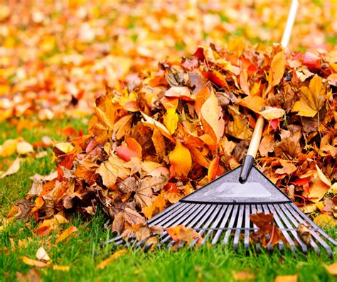 Fall Maintenance Tips - Birkett-Hassard Insurance Brokers Limited