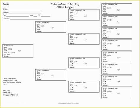 Free Printable Rabbit Pedigree Template Printable Templates