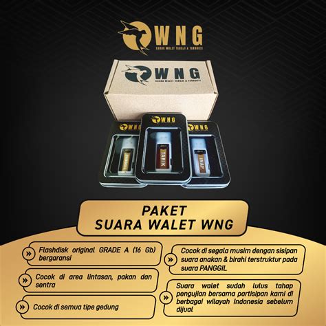 Jual Paket Suara Walet Komplit Panggil Tarik Inap Suara Walet