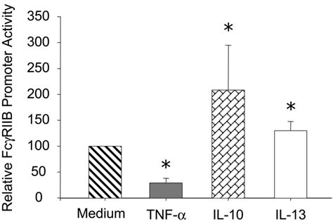 Regulation Of Fcriib Promoter Activity By Cytokines U Cells Were