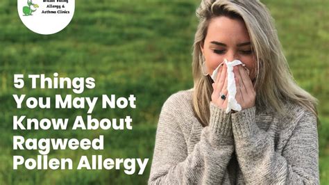 5 Things You May Not Know About Ragweed Pollen Allergy