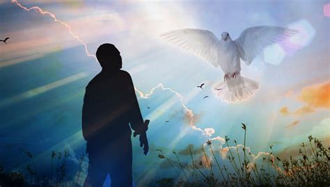 hidup  roh renungan minggu  mei  renungan harian