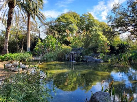 Los Angeles Arboretum: A Haven of Nature and Tranquility | Arcadia