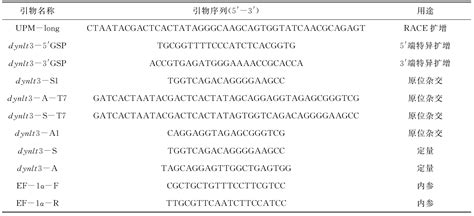 黄鳝细胞质动力蛋白3基因的克隆及其在性逆转中的功能分析 参考网