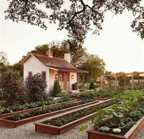 19 Impressive Home Food Garden Ideas To Try This Year | SharonSable