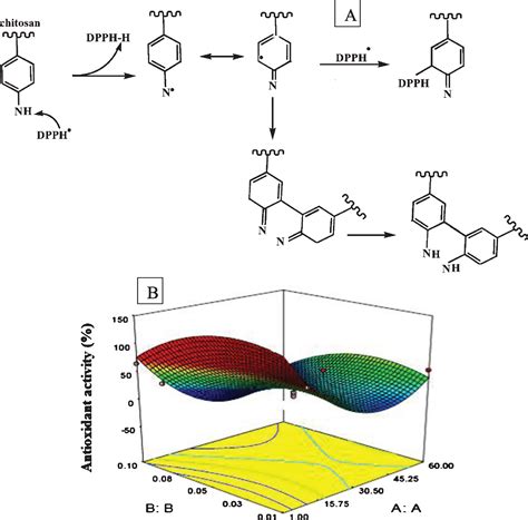 Conductingbiodegradable Chitosan Polyaniline Film Antioxidant Color