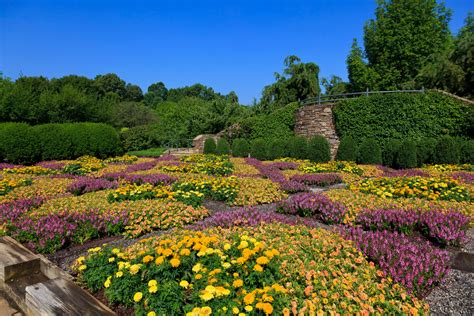 14 Best Botanical Gardens In North Carolina You Must Visit Southern