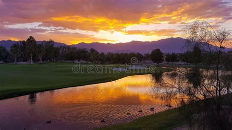 Birds Enjoying A Beautiful Palm Desert Sunset Stock Photo Image Of