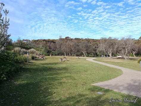 Pretty Beach campground - Murramarang National Park - 1 Pretty Beach Rd ...