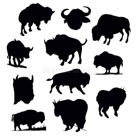 Bison Silhouette Stock Illustrations 12150 Bison Silhouette Stock