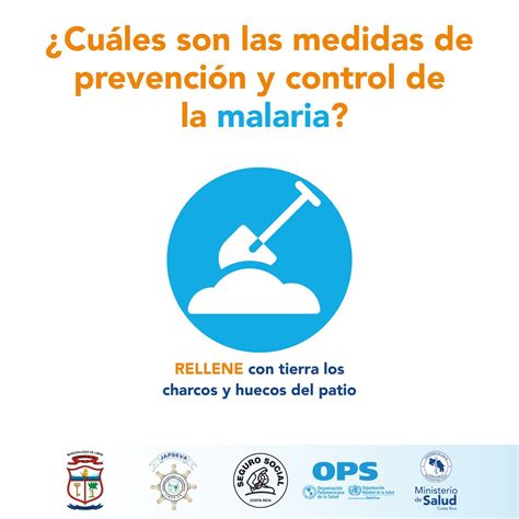 Ministerio De Salud De Costa Rica On Twitter El Mosquito Que