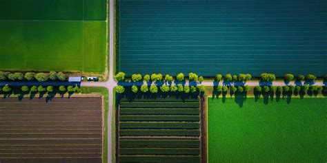 Drone Farming Stock Photos, Images and Backgrounds for Free Download