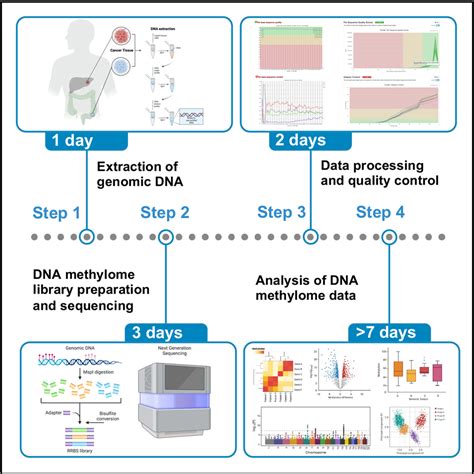 Cell Press Star Protocols