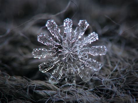 10 Snowflake Photography Ideas to Try in 2024