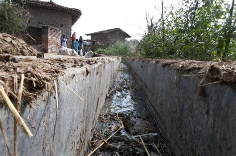 Cholera Image Eurekalert Science News Releases