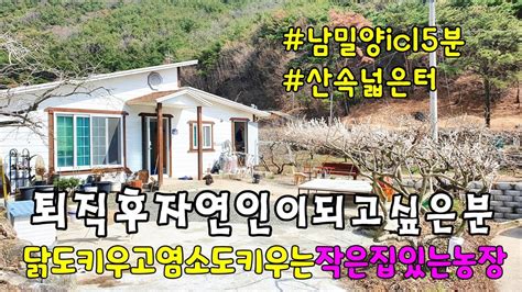 No718 산자락 멋진 경치와 전망 계곡있고 터넓은 밀양주말농장 밀양토지매매 밀양촌집매매 밀양전원주택매매 밀양부동산