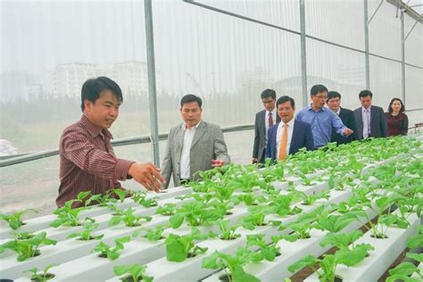 Provincial Party Committee And People S Committee Of Quang Ngai Province Visited And Worked At