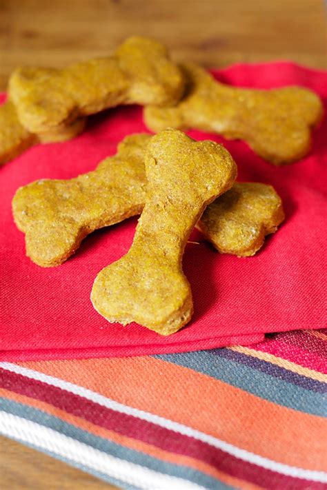 Healthy Pumpkin Dog Treats | B. Britnell