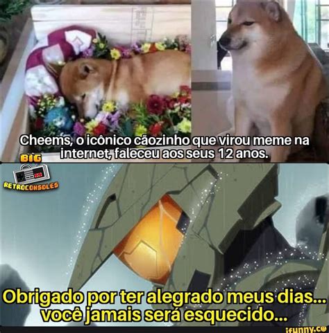 I Cheems o icônico cãozinho que virou meme na internet faleceu aos