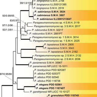 Combined Phylogeny Using Its And S Of Selected Members Of The