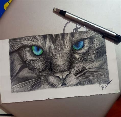 Realistic Cat Face Drawing