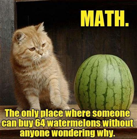 20 Hilariously Relatable Memes for Anyone Who Has Ever Struggled With Math