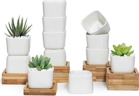 Amazon Inch Succulent Pots Pcs Small Clay Pots White Mini