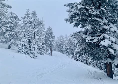 Spring Storm Colorado Snow Totals From March 19 20 Fox31 Denver