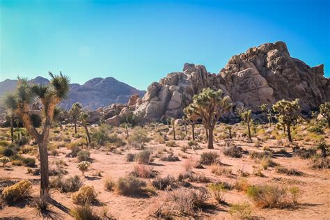 Best Hikes In Joshua Tree National Park — Glam Granola Travel