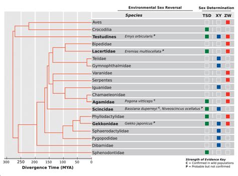 The Phylogenetic Distribution Of Sex Reversal In Reptiles Reptile