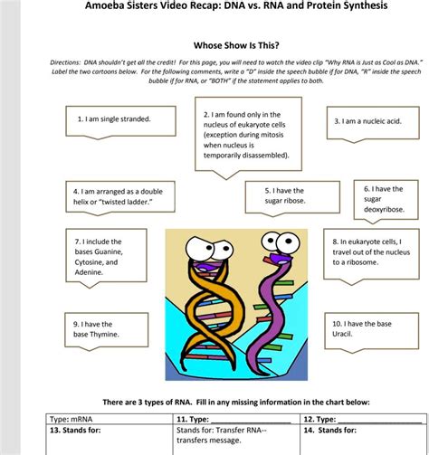 Solved Amoeba Sisters Video Recap Dna Vs Rna And Protein Synthesis Whose Show Is This