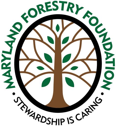 The Importance Of Silviculture Maryland Forestry Foundation