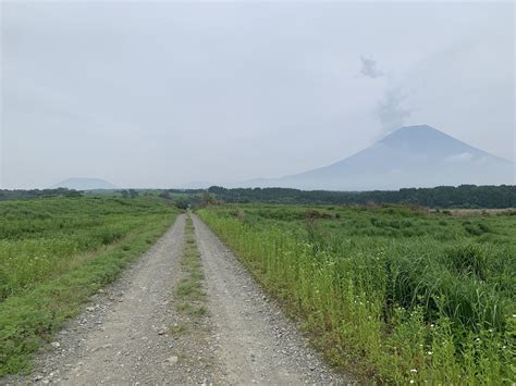 竜ヶ岳本栖湖〜道の駅朝霧高原バス むーみーさんの毛無山・雨ヶ岳・竜ヶ岳の活動日記 Yamap ヤマップ