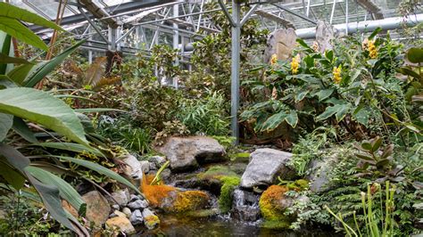 Hello, Rhododendron Species Botanical Garden in Federal Way, Washington ...