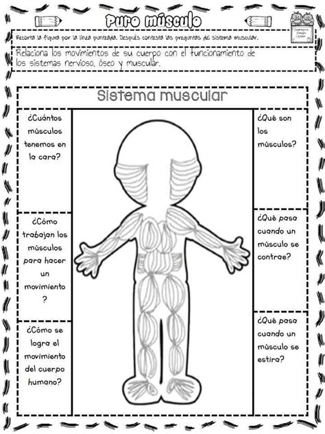 El Cuerpo Humano - Actividades de Ciencia para Kindergarten