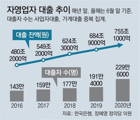 빚내서 버티는 자영업자 대출 755조 넘어 비즈n